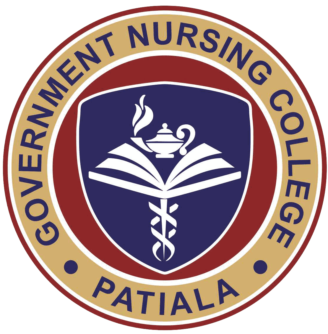 Government Nursing College