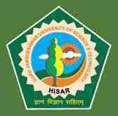 Haryana School of Business, Hisar