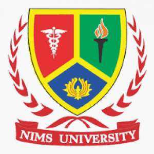 NIMS University