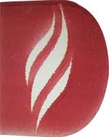 Durgabai Deshmukh College of Special Education, New Delhi