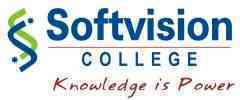 Softvision College